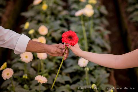 holambra, ensaio de casal, theos turismo, ensaio de casal, fotografo em holambra, girassl, ensaio no girassol, ensaio com flores, ensaio no por do sol, fabiana e julio, casamento, pre-wedding em holambra'