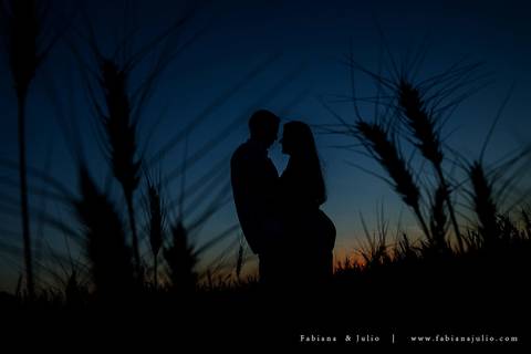 holambra, ensaio de casal, theos turismo, ensaio de casal, fotografo em holambra, girassl, ensaio no girassol, ensaio com flores, ensaio no por do sol, fabiana e julio, casamento, pre-wedding em holambra'