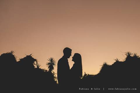 holambra, ensaio de casal, theos turismo, ensaio de casal, fotografo em holambra, girassl, ensaio no girassol, ensaio com flores, ensaio no por do sol, fabiana e julio, casamento, pre-wedding em holambra'