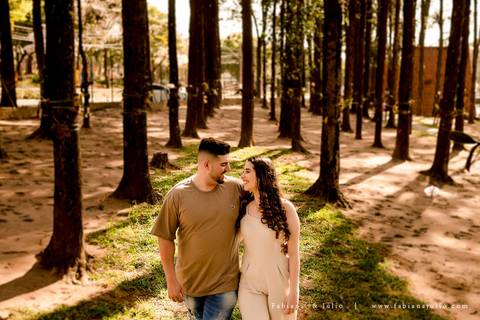 holambra, ensaio de casal, theos turismo, ensaio de casal, fotografo em holambra, girassl, ensaio no girassol, ensaio com flores, ensaio no por do sol, fabiana e julio, casamento, pre-wedding em holambra'