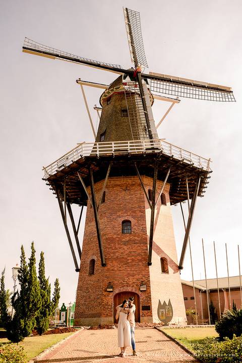 holambra, ensaio de casal, theos turismo, ensaio de casal, fotografo em holambra, girassl, ensaio no girassol, ensaio com flores, ensaio no por do sol, fabiana e julio, casamento, pre-wedding em holambra'