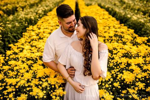 holambra, ensaio de casal, theos turismo, ensaio de casal, fotografo em holambra, girassl, ensaio no girassol, ensaio com flores, ensaio no por do sol, fabiana e julio, casamento, pre-wedding em holambra'