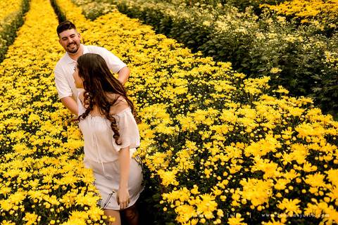 holambra, ensaio de casal, theos turismo, ensaio de casal, fotografo em holambra, girassl, ensaio no girassol, ensaio com flores, ensaio no por do sol, fabiana e julio, casamento, pre-wedding em holambra'