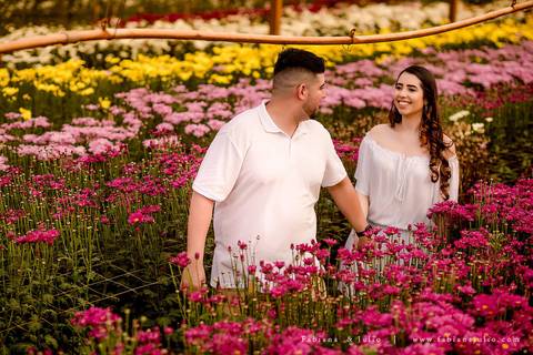 holambra, ensaio de casal, theos turismo, ensaio de casal, fotografo em holambra, girassl, ensaio no girassol, ensaio com flores, ensaio no por do sol, fabiana e julio, casamento, pre-wedding em holambra'