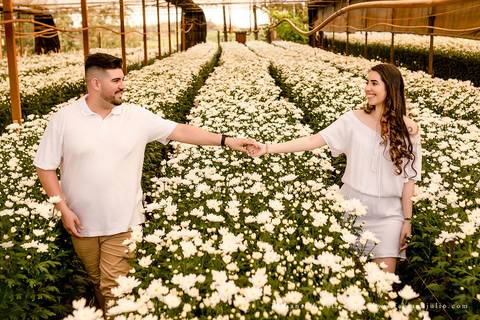 holambra, ensaio de casal, theos turismo, ensaio de casal, fotografo em holambra, girassl, ensaio no girassol, ensaio com flores, ensaio no por do sol, fabiana e julio, casamento, pre-wedding em holambra'