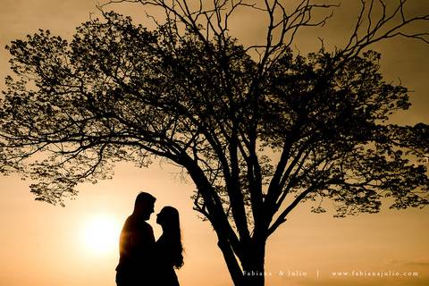 holambra, ensaio de casal, theos turismo, ensaio de casal, fotografo em holambra, girassl, ensaio no girassol, ensaio com flores, ensaio no por do sol, fabiana e julio, casamento, pre-wedding em holambra'