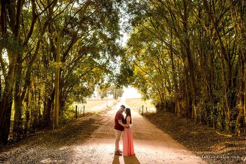 holambra, ensaio de casal, theos turismo, ensaio de casal, fotografo em holambra, girassl, ensaio no girassol, ensaio com flores, ensaio no por do sol, fabiana e julio, casamento, pre-wedding em holambra'