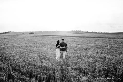 holambra, ensaio de casal, theos turismo, ensaio de casal, fotografo em holambra, girassl, ensaio no girassol, ensaio com flores, ensaio no por do sol, fabiana e julio, casamento, pre-wedding em holambra'