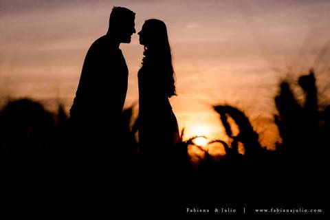 holambra, ensaio de casal, theos turismo, ensaio de casal, fotografo em holambra, girassl, ensaio no girassol, ensaio com flores, ensaio no por do sol, fabiana e julio, casamento, pre-wedding em holambra'