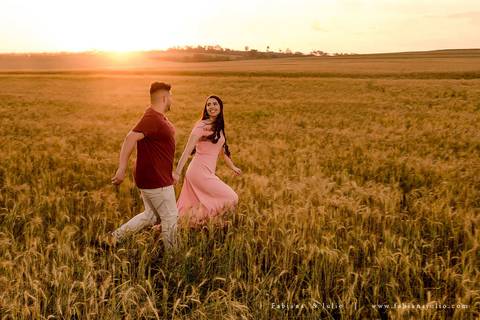 holambra, ensaio de casal, theos turismo, ensaio de casal, fotografo em holambra, girassl, ensaio no girassol, ensaio com flores, ensaio no por do sol, fabiana e julio, casamento, pre-wedding em holambra'