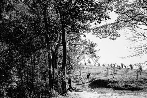 bosque do carmo, ensaio de casal, fabiana julio, fotografia para sempre, ensaio casual, ensaio de noivos, pre-wedding, pre-casamento'