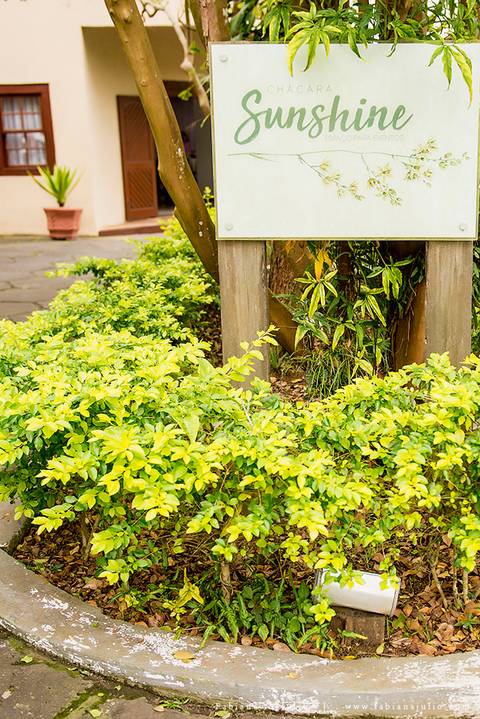 chacara sunshine, casmento na chacara, andrezza justiniano, fotografia para sempre, vestido de noiva, noivo de azul, hobbies para maes azul, meke para noiva,  decoração marsala, votos personalizados, casamento tradicional, '