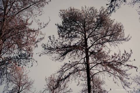 ensaioi de casal, estrada, flores, look florido, ensaio em itirapina, ensaio no morro do facao, fotos de casais, look preto para ensaio, look florido para ensaio'