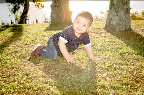 smash the cake barato em campinas'