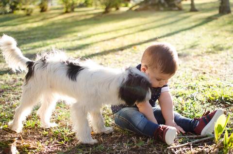 Curso de fotografia basico campinas'