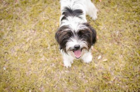 curso de iluminação e flash campinas sp '
