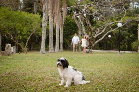 curso de light painting campinas sp'