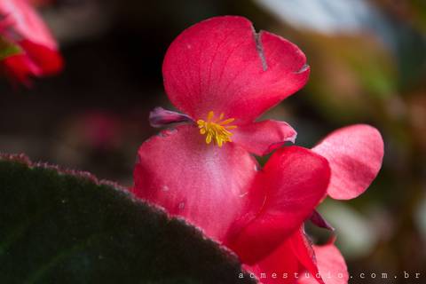 Foto da aluna: Marita'