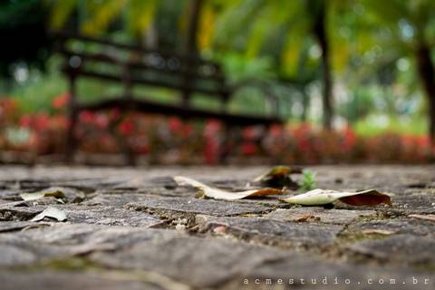 Foto da aluna: Thais'