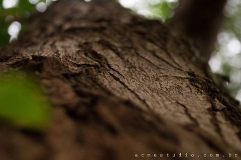 Foto do aluno: Mauri'