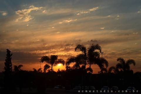 Foto da aluna: Luciana'