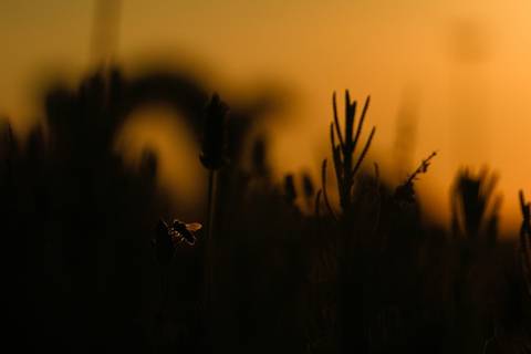 Foto do aluno: Marcelo'