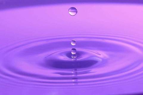 Foto da aluna: Joana'