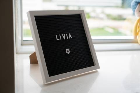 fotografo de parto rio de janeiro fotografia perinatal gestante nascimento newborn família barra da tijuca recreio dos bandeirantes pregnant '