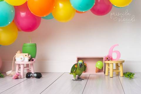 Ensaio Infantil São Paulo Zona Sul SP'