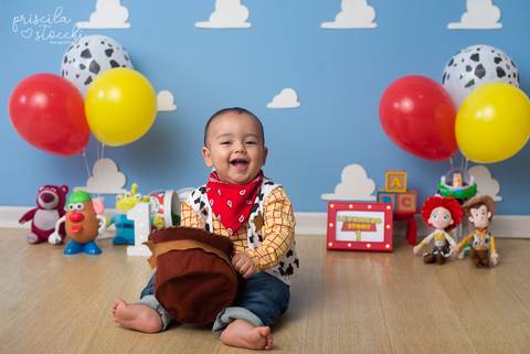 Fotos 1 ano Toy Story SP'