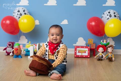 Fotos 1 ano Toy Story São Paulo'
