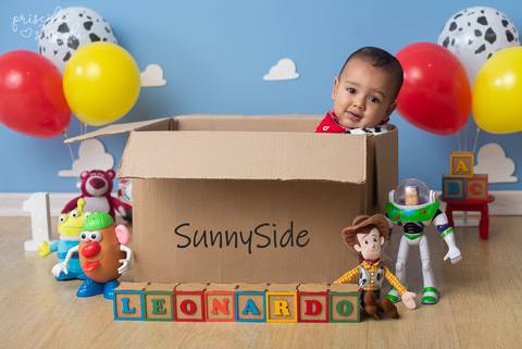 Smash the Cake Ideias São Paulo'