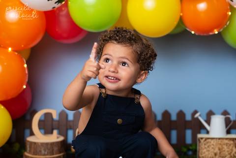 Ensaio de 2 anos Fazendinha SP'