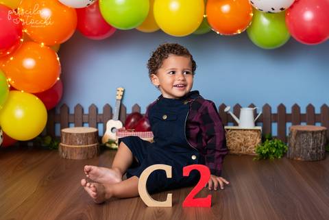 Fotos Ensaio 2 anos Fazendinha SP'