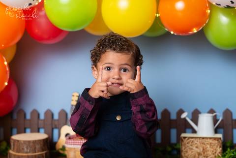 Fotos Ensaio 2 anos Fazendinha São Paulo'