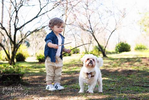 Ensaio Fotográfico Ao Ar Livre 2 anos com pet Zona Sul SP'