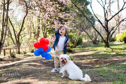Ensaio Fotográfico Infantil Externo com pet SP'