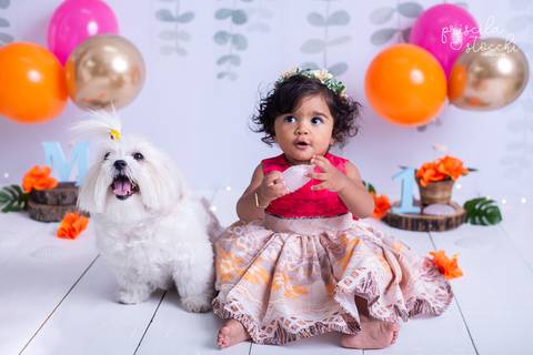 Ensaio Fotográfico 1 ano com cachorro Moana Baby São Paulo'