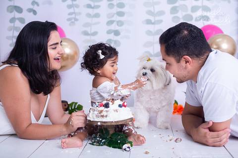 Smash the Cake Família com Cachorro Moana Baby SP'