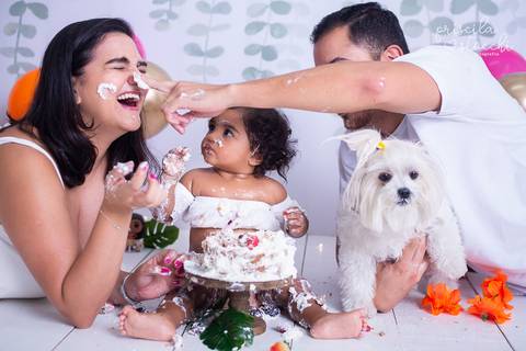 Smash the Cake Com os Pais e Cachorro Moana SP Zona Sul'