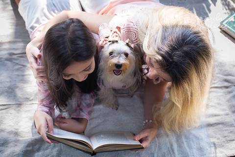 Fotos com Pet SP Zona Sul Ao Ar Livre'