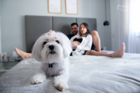 Fotógrafa Ensaio Gestante com Pet em Casa SP'