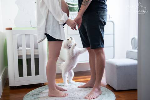 Ensaio Gestante com Cachorro em Casa SP '