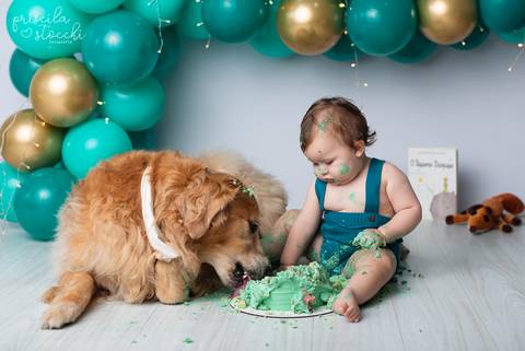 Smash the Cake 1 ano com Cachorro SP Zona Sul'