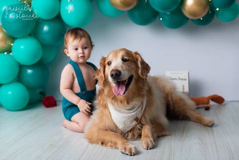 Ensaio Infantil com Cachorro SP'