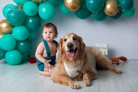 Ensaio 1 ano com Cachorro SP Zona Sul'