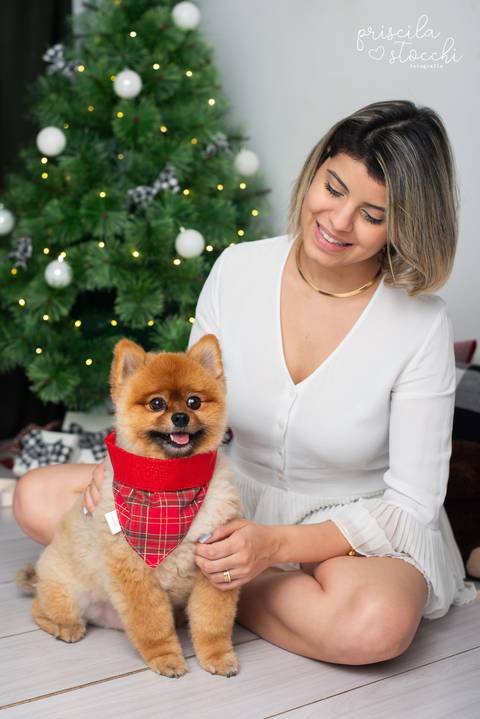 ensaio de natal com cachorro SP'