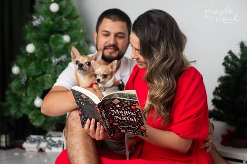 ensaio fotográfico de natal com cachorro SP'
