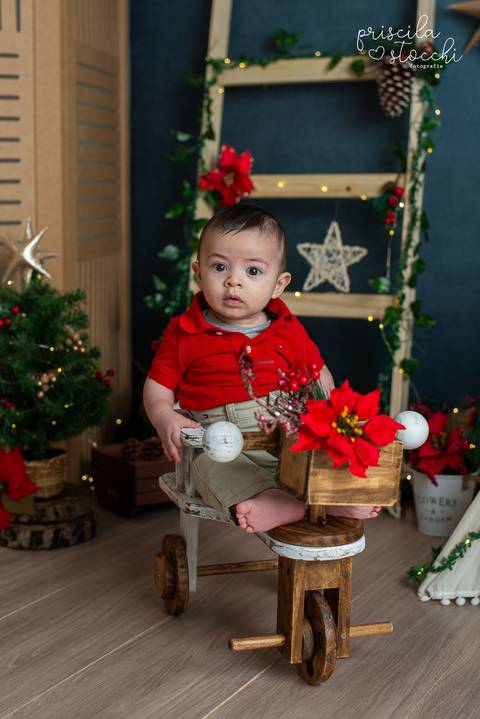 Mini Ensaio Natal Estúdio SP'