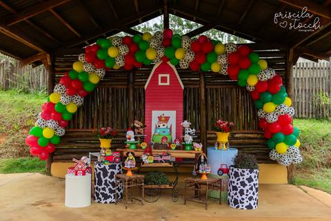 Fotógrafa Festa Infantil SP'